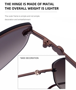 Detail view of the metal hinges and hollow circular gold decoration on these sunglasses