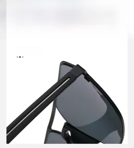 Close-up of matte black sunglasses frame with silver metal hinge and temple detail