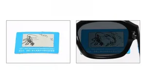 Polarized lens test card showing a hidden fish pattern through dark rectangle sunglasses