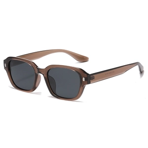 2025 retro small frame polarized sunglasses with brown translucent frame and dark lenses