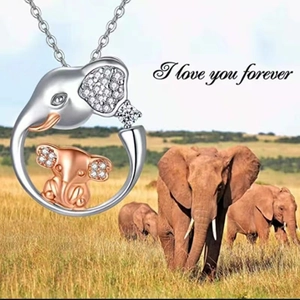 Collana con ciondolo elefante madre e figlio con incisione a cuore I love you forever