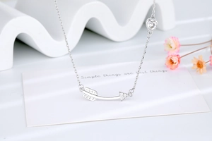Detail of silver arrow necklace with heart-shaped zircon on an elegant white background