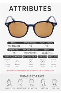 Spécifications de taille détaillées pour lunettes de soleil vintage avec dimensions