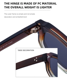 Vue détaillée des lunettes de soleil en PC écaillé avec charnière en T et marquage de taille