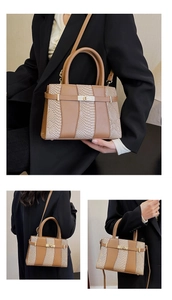 Detail of snake print leather contrast handbag with gold rotary lock and top handles