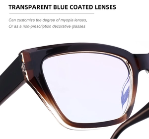 Detailed view of cat-eye eyewear frames with blue light coating and tortoiseshell pattern