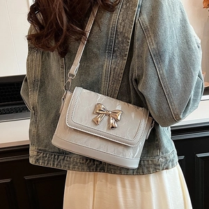 Chic light gray pleated crossbody bag with large silver butterfly bow and flap closure
