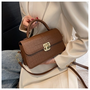 Detail of brown crocodile pattern small square bag with golden twist lock and top handle