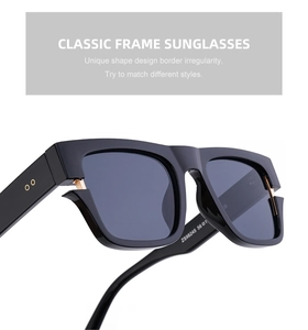 Gros plan sur lunettes de soleil polarisées montrant le modèle ZS98245 et charnière en métal doré