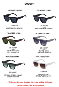 Lunettes de soleil polarisées en six couleurs de monture avec verres ZS-98245P de qualité