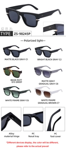 Détails macro de lunettes de soleil polarisées montrant les charnières et le cadre PC