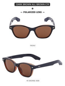 Detailed views of dark brown polarized sunglasses with star-shaped metal accents