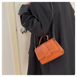 Detail of glossy brown crocodile embossed mini bag with silver chain and handle