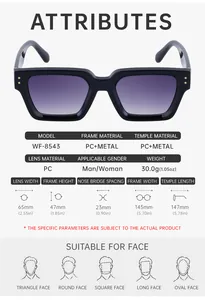 Detailed sizing chart and specifications for rectangle frame sunglasses model WF-8543