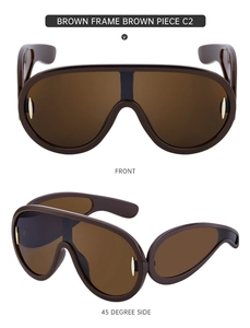 Detail van bruine oversized zonnebril met gouden accenten op de pootjes, kleurcode C2