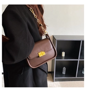 Detail of a dark brown crossbody bag with a gold cross buckle and metal chain strap