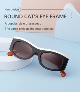 Detail of cat eye sunglasses with gold browline trim and wide temples on artistic background