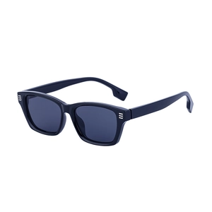 Lunettes de soleil œil de chat classiques avec verres noirs et détails argentés