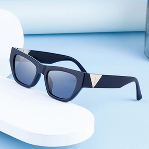 Fashionable small cat-eye sunglasses with thick black frames and silver triangle accents