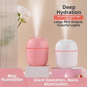 Mini-USB-Luftbefeuchter in Pink und Weiß mit sanfter LED-Stimmungsbeleuchtung