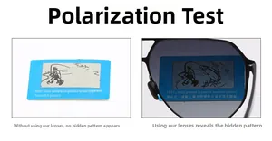 Polarized lens test showing a hidden fish pattern on a card through black square sunglasses