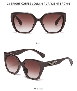 Detail view of butterfly frame sunglasses with golden floral emblem on the temples
