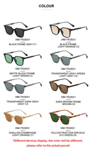 Detailed grid view of eight vintage square sunglasses in various colors and tinted lenses