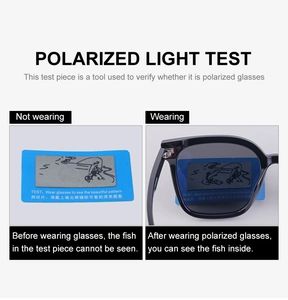 Test di polarizzazione che mostra il motivo del pesce attraverso la lente nera
