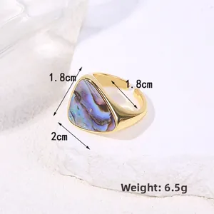Macro detail of geometric triangle ring with shell inlay showing dimensions 1.8cm and 6.5g weight