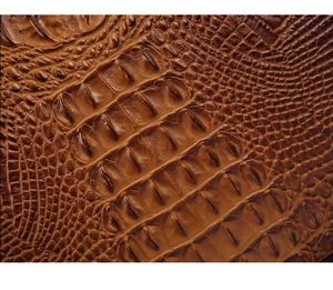Primer plano de la textura de cuero grabado de cocodrilo marrón caramelo de alta calidad