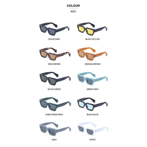 Steampunk small frame sunglasses in ten assorted colors with thick retro square frames