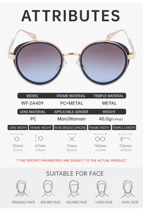 Detailed size chart and specifications for steampunk round frame sunglasses WF-2A409