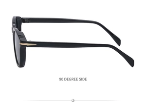 90 degree side view of retro round polarized sunglasses with gold arrow metal detail
