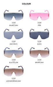 Nuancier détaillé de lunettes de soleil masque oversize avec sept variantes de verres