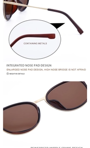 Detail of vintage polarized sunglasses with golden metal temples and integrated nose pads
