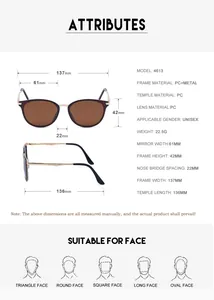 Detailed size chart for retro polarized sunglasses showing dimensions and PC frame specs