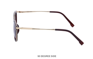90-degree side view showing Italy Design metal temple on vintage brown sunglasses