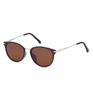 Retro polarized sunglasses with dark brown frames and golden metal temples for a chic look