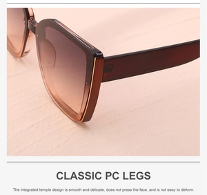 Detail of classic PC legs and smooth integrated temple design on cat eye sunglasses
