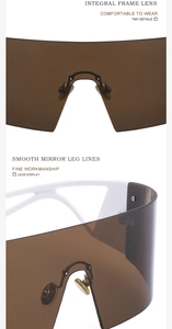 Détail de lunettes de soleil masque avec verres polarisants thé et branches blanches
