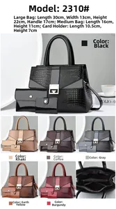 Detailed view of 3-piece bag set showing lizard texture finish and metal square lock