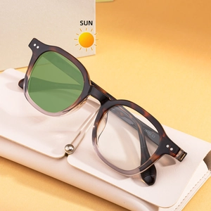 Lunettes de soleil photochromiques à petite monture avec motif écailles pour femme
