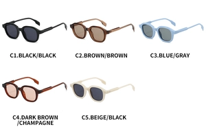 Vue détaillée de lunettes de soleil ovales rétro en cinq combinaisons de couleurs
