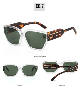 Detail view of cat eye sunglasses with clear frames and tortoise shell wide temples