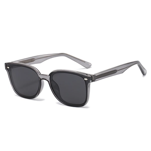 Classic polarized sunglasses with grey translucent frames and vintage silver rivet details