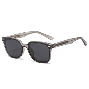 Classic polarized sunglasses in transparent grey frame with modern metal temple core