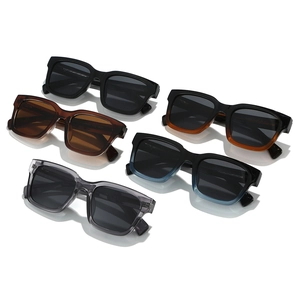 Five pairs of square polarized sunglasses in assorted colors with thick frames