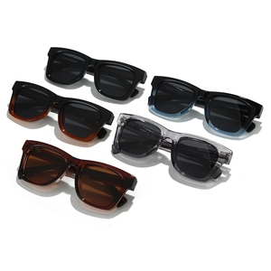 Square polarized sunglasses in black, tortoiseshell, and transparent grey on white background