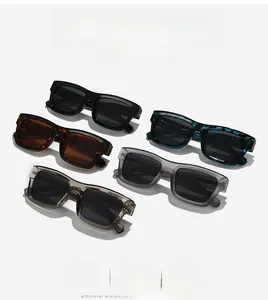 Détail des cinq options de couleur pour lunettes de soleil rectangulaires polarisées