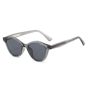 Lunettes de soleil œil-de-chat avec monture grise translucide et branches métalliques